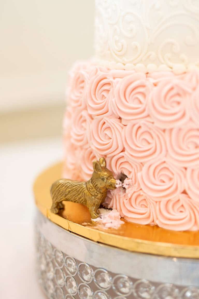 Wedding Photographer vs. Wedding Videographer: Which is Right for Your Big Day?
